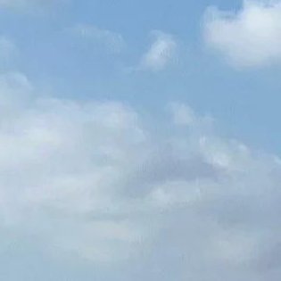 PPPPP27252's profile picture. 