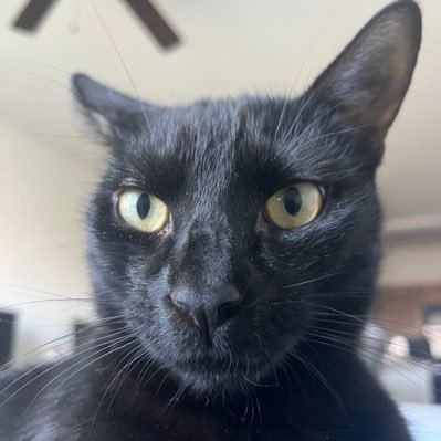 hostileUAVabove's profile picture. 