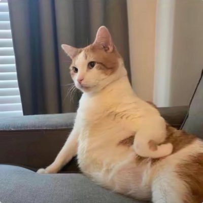 Bigwizz12345's profile picture. GOD IS GOOD 😊 😊🙈