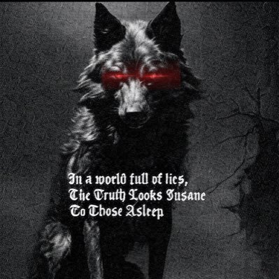 DerWulf's profile picture. 