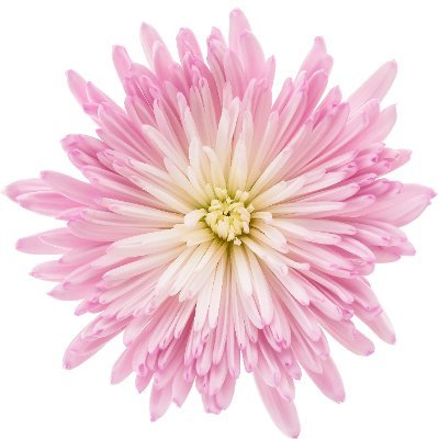 Peace12345LB's profile picture. A place to grow and heal.