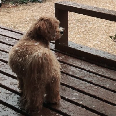 tsune_000's profile picture. 凍結された