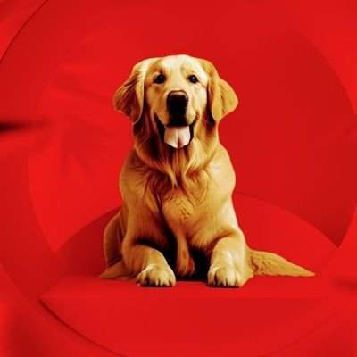 Olazee6067's profile picture. 💻 Shopify Expert | Empowering entrepreneurs with seamless eCommerce solutions | Custom Designs, Store Optimization & Growth Strategies | DM