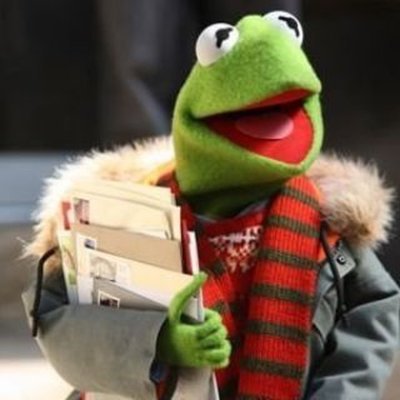 Pep1nn's profile picture. Geese farmer