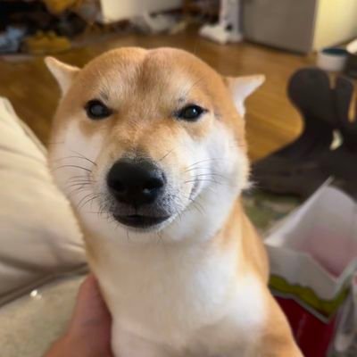 DYC3223054094's profile picture. 