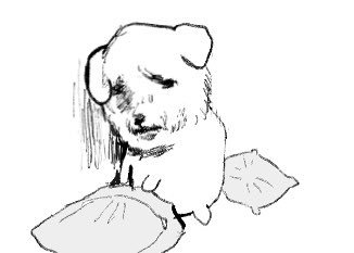 wpqkfrmaks99's profile picture. 