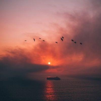 Azzan_Adem's profile picture. 