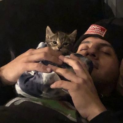 koronuh's profile picture. 