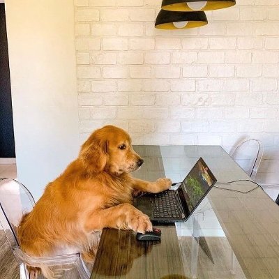 Euris_x's profile picture. Partner @tradewithPhoton