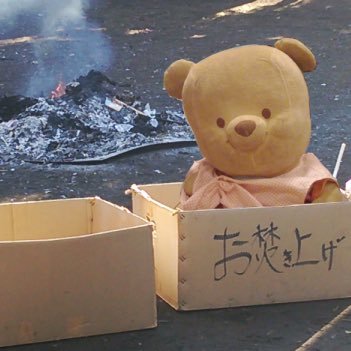 zeromi063's profile picture. 