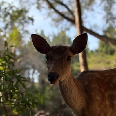 R0b1__z's profile picture. 