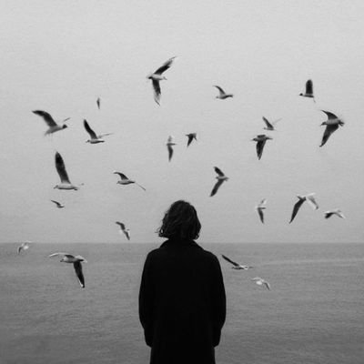 kopsussarenn's profile picture. born to die