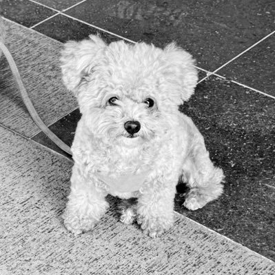 krashmeta's profile picture. || Money Maxi || || Trenches Warrior || || blablablablabla - blablablablabla..  ||