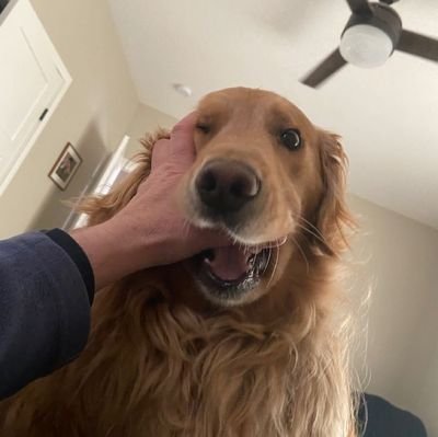 SandraW29203's profile picture. 