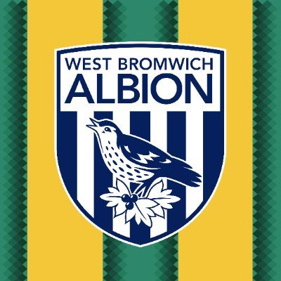 WBA's profile picture. The Albion. Bonded by belief since 1878. 💙🤍