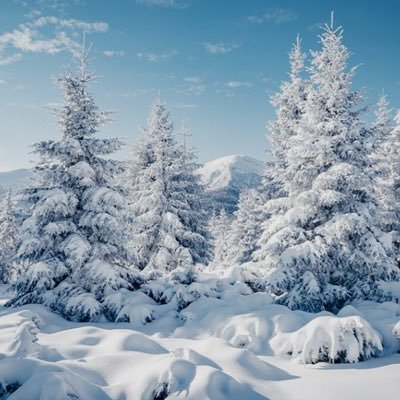 NoSugarNow7's profile picture. 