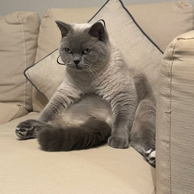 NEOHARADADX's profile picture. 情熱のマラ 哀愁の穴 いま混ぜながら 夢の世界へ あーそこから先ーはぁー