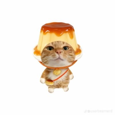 Febrzz7's profile picture. 