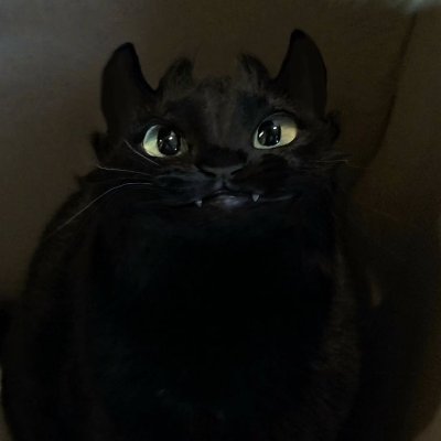 SEOFIGURES's profile picture. Dexpayer @Harvard