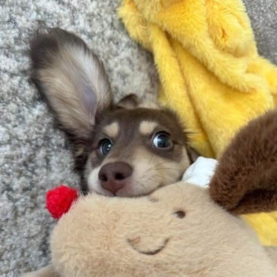 ThompsonSc3170's profile picture. 