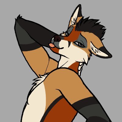 KiyonoriFox's profile picture. City fox | 28 | Streamer | Java dev

NSFW ➜ @KiyoLewds (18+)