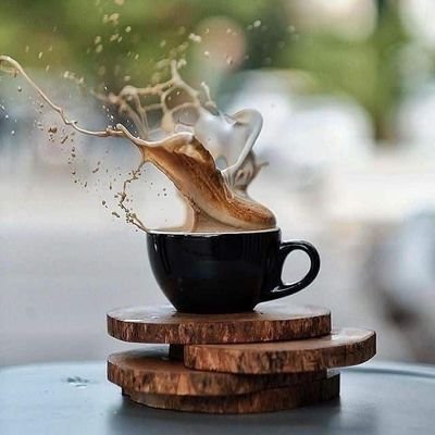 meraki2498's profile picture. 