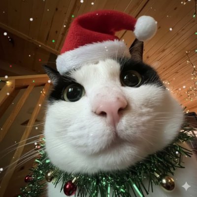 0xgargi's profile picture. engineering
https://t.co/fYhCfWqBQa