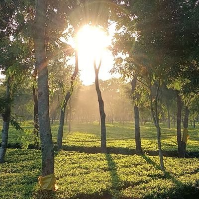 purplefloss1's profile picture. HUMANITY over Religion....  #Anthropologist #Sagittarius #Dreams #Hope #Spirituality #Kindness 🌎
#Based OnMyResearch #333