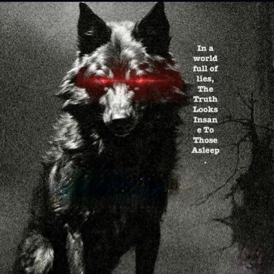 DerWulf's profile picture. 🅹🅴🆂🆄🆂 🅸🆂 🅶🅾🅳 | 🄰🄼🄴🅁🄸🄲🄰 🄵🄸🅁🅂🅃 |