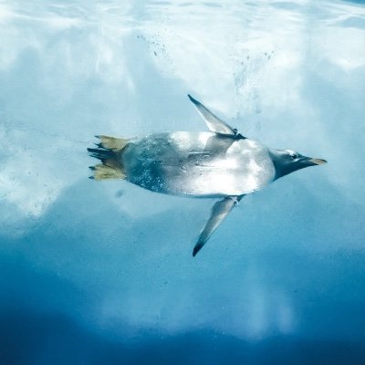 ZzwAhFUnFY8699's profile picture. ただのオタクです。30↑