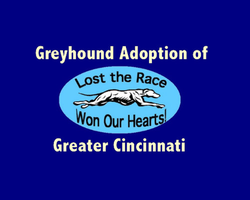 Cincigreyhounds's profile picture. Official Twitter page for Greyhound Adoption of Greater Cincinnati. GAGC is an organization dedicated to finding good homes for retired racing greyhounds