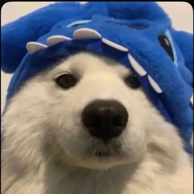 draftsify's profile picture. funemployed CEO & webdev @quantumgxg 🍀 https://t.co/7jKDHDEFt0 https://t.co/1dg8tvUYIa