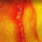 DoucheCanoe42's profile picture. #AEWDynamite #AEWCollision #AEWWorldsEnd #AEW