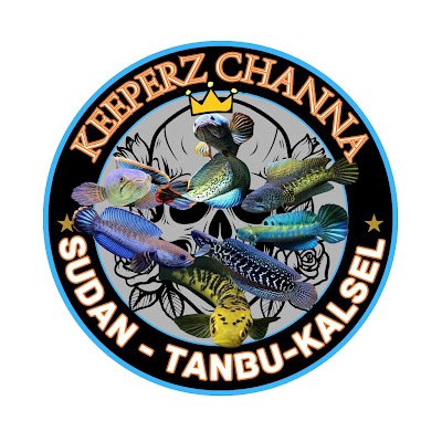 fizah2202's profile picture. 