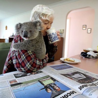 u1oo11's profile picture. 헤멘만큼내땅!!!