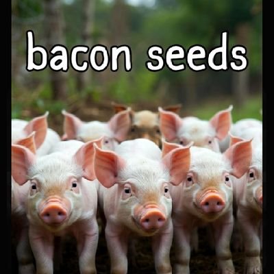 propersixtyfour's profile picture. old biker looking for the next adventure. pure blood and I love my cats. 🚫DMs 🚫asking for money.✝️   🇺🇸🇺🇸🇺🇸🇺🇸 #MAGA #GODBLESSAMERICA #JesusLoveYou