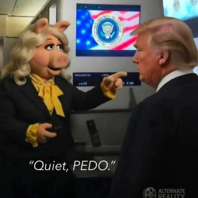 Eltreva's profile picture. Trump making black lung great again!