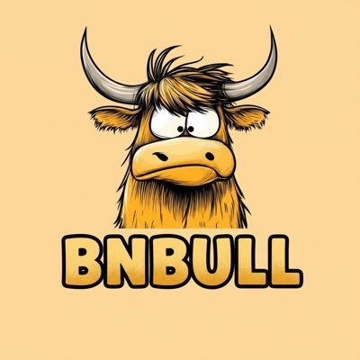 XBNBULL's profile picture. $BNBULL SEASSON!  #BNB