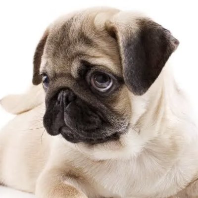 JJJJdg7u's profile picture. 