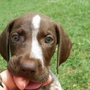 Keith Otis - @KeithOtis - Twitter