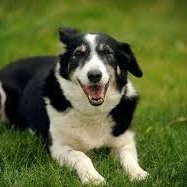 russo90_am0412's profile picture. 