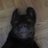 mluke's Twitter (X) avatar