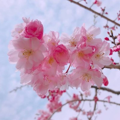 relation_251204's profile picture. 株式会社relationの駆け出しエンジニア
フリーターからシステム屋さんに就職(前職)
現在はC#/VB.Netを主軸にお仕事しています。
やりたいこと山盛りで時間が不足する日々を送りつつ、
繋がりを求めてXをはじめました。
よろしくお願いします。