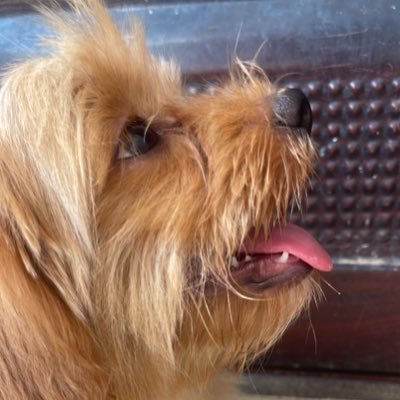 UsmanRashi7612's profile picture. 