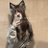 YangY36399402's profile image