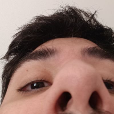 kakapodevs's profile picture. He/him, GameDev.
Working on my game BitRick's Venture