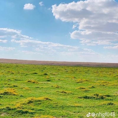 mdly374730's profile picture. اللهم اجعلنا ممن إذا أنعمتَ عليهم شكروا، وإذا ابتُليتَهم صبروا، وإذا أذنبتَ استغفروا، وإذا ضاقت بهم الدنيا لجأوا إليك. 🤍