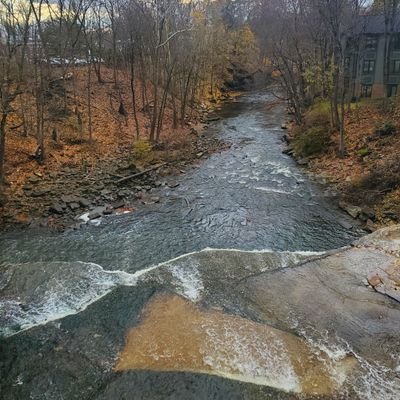 laziestamerican's profile picture. Competitive web publisher.