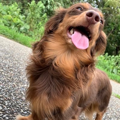 k8ai___'s profile picture. 🖤@iq326_   @HIROOMI_3JSB_