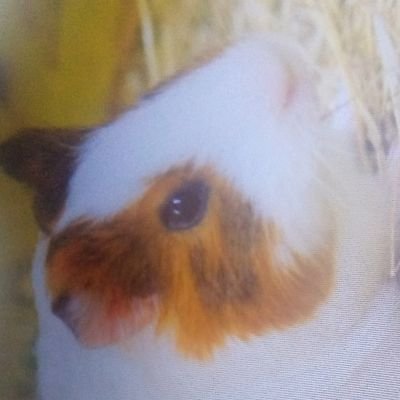 seujorge359506's profile picture. 